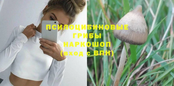apvp Нягань