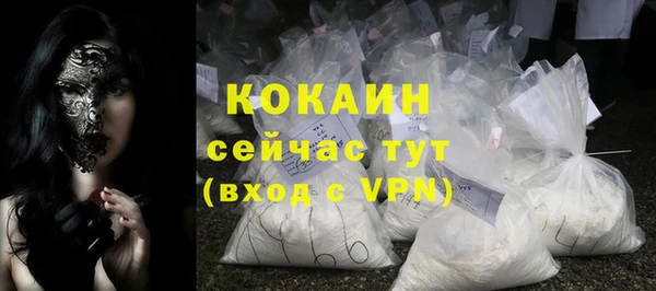 тгк Шали