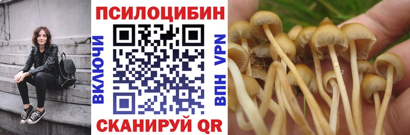 что такое   Ясногорск  ссылка на мегу вход  Псилоцибиновые грибы прущие грибы 