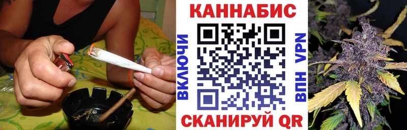 где можно купить   Ясногорск  Бошки марихуана план 